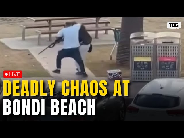 Australia Bondi Beach Shooting LIVE: Gunfire at Bondi Beach: Witness Describes Chaos, Fear
