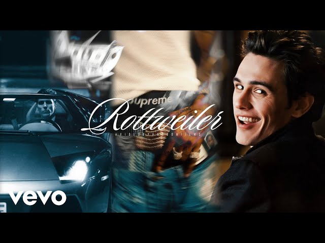 Rottweiler - Esdeekid | 4k Edit