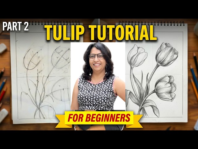 Tulip Tutorial for Beginner