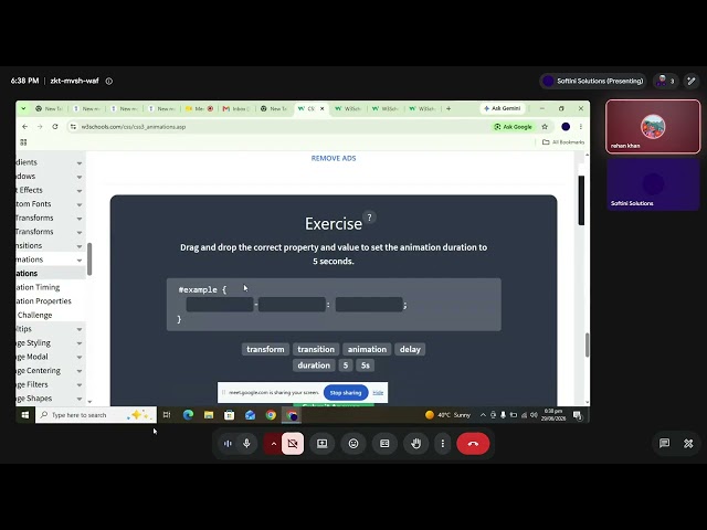 CSS Animation