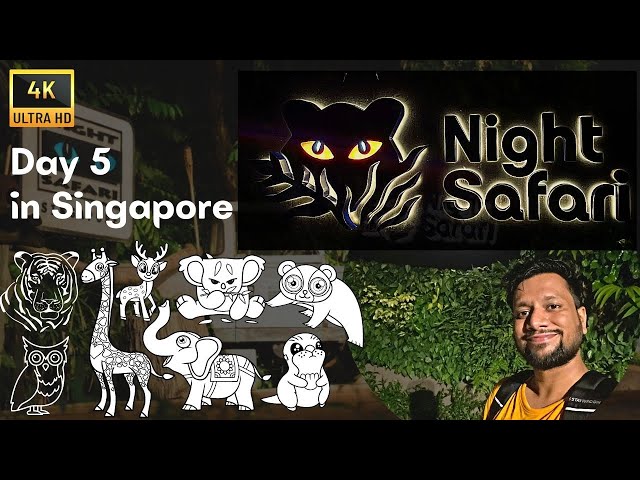 Night Safari - An Unforgettable Experience!  - Day 5 in Singapore!