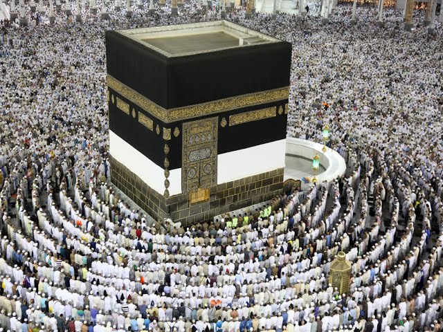 Educational reminders Free Quran Education Animated Reminders