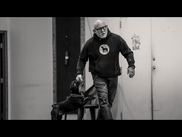 Kanine Freedom Dog Talk with Jay Jack: Punishment and Clarity