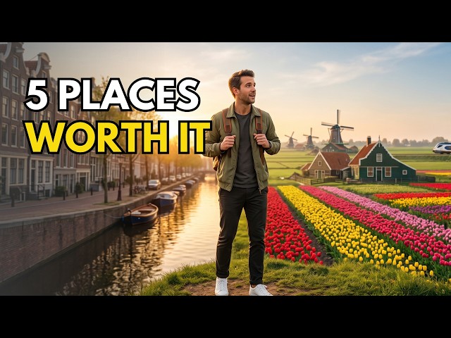 5 Best Day Trips from Amsterdam You Shouldn't Miss