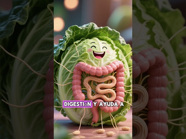 Beneficios de la Col o Repollo - Sabores que Sanan