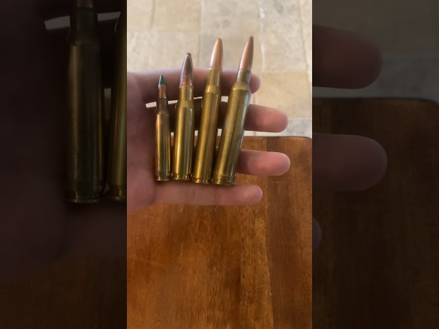 The 5.56 is the most dangerous round in existence? 😳😂 god forbid you hunt with it 🫡