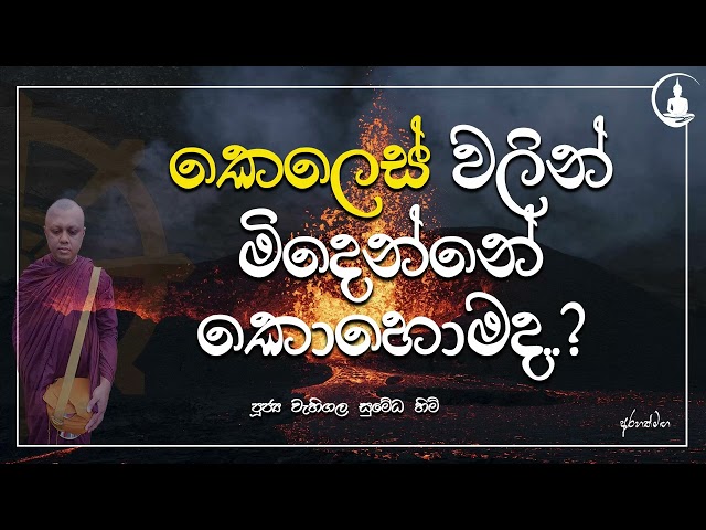 මේ ලෝකයේ කාටවත් කෙලෙස් විදින්න බෑ....#Arahath#maga