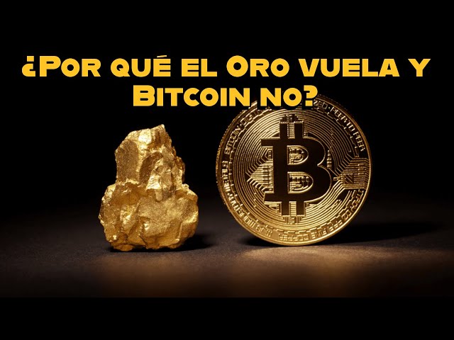 ¿Por qué el Oro vuela y Bitcoin no? #Bitcoin #finanzaspersonales #Economía #cripto #macro #oro
