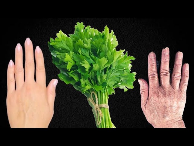 The most powerful collagen from celery / Erases deep wrinkles and dark spots regardless of age.