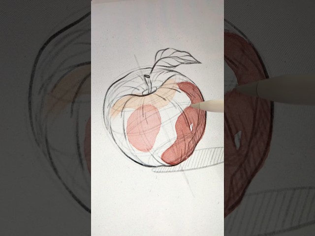 Sketching in Procreate ✏️ How to draw an Apple 🍎 #procreate #drawing #sketching #digitalart #sketch