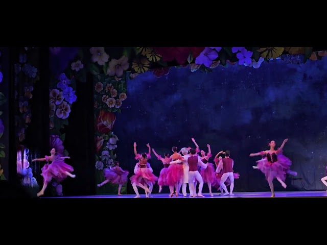 Nutcracker (Waltz of the flowers) 2024 - Master Ballet Academy