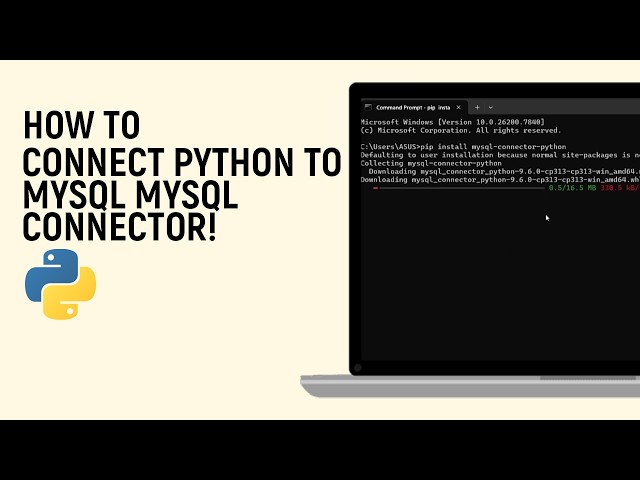 How to Connect Python to MySQL mysql connector