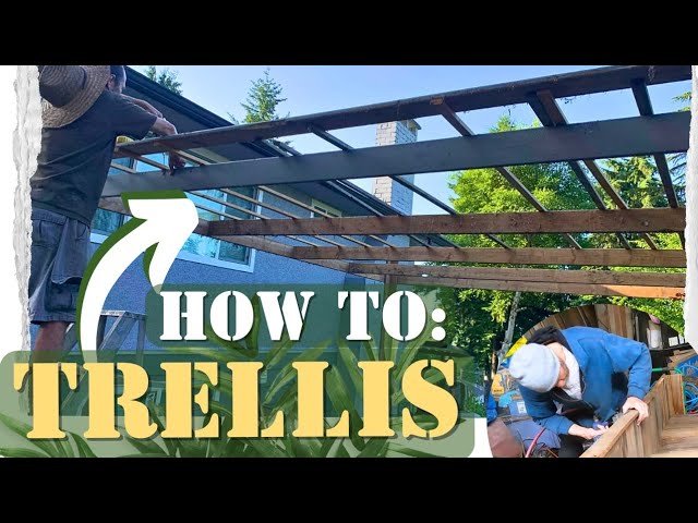 How TO Build Plant TRELLIS