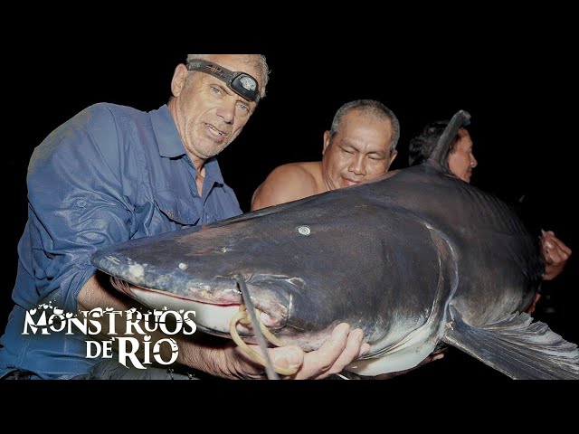 ¡Este Piraiba de 100 Kilos y 2 metros es un MONSTRUO DEVORADOR DE HOMBRES! | Monstruos de Río