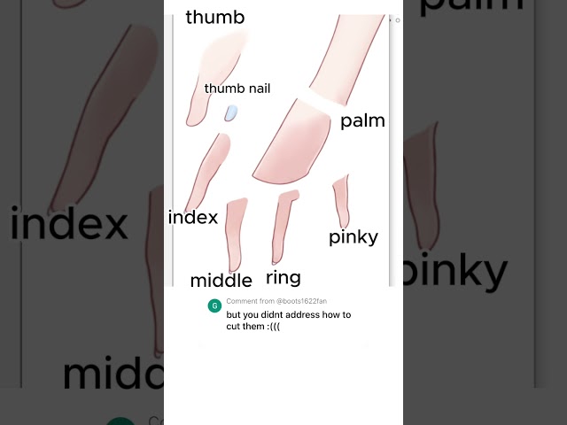 Hands separation example. #live2d #rigging #tutorial