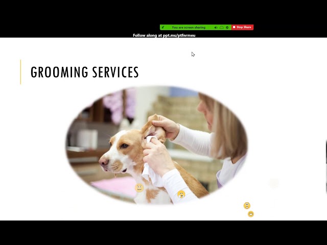 PowerPoint Module 1