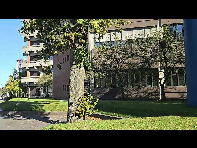 Few Glimpses from the beautiful University of Copenhagen, Denmark I Europe October 2024