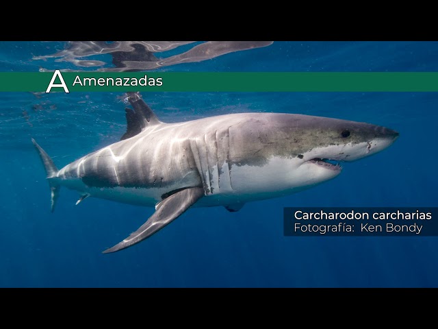 NOM-059-SEMARNAT-2010