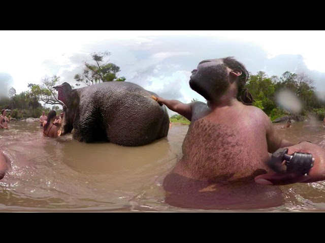 360 Video of us playing at the Into the Wild, Elephant Sanctuary Part 4