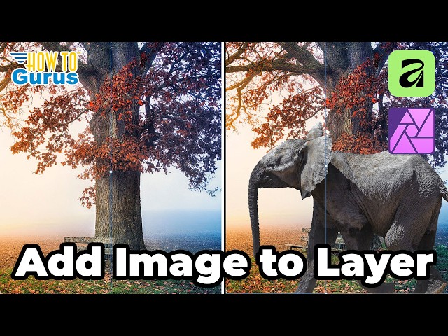 📸 Affinity Photo Beginner Guide: Add Images to Layers
