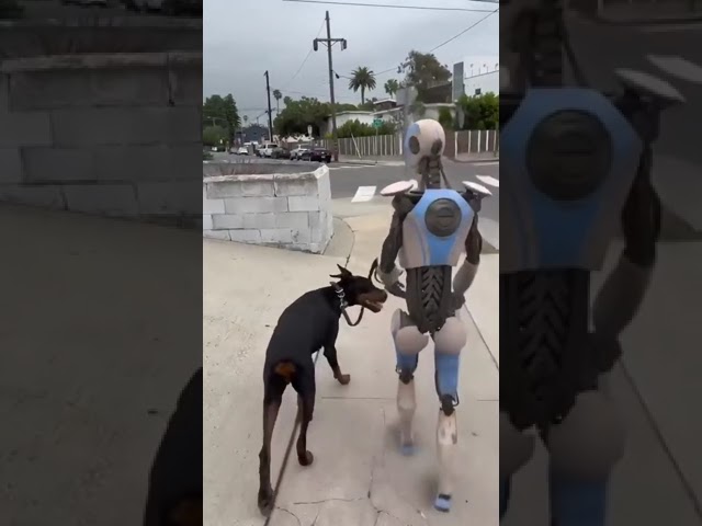 Robots Evolution | Future Robots | Robots world  #2023 #shortsfeed #technology #ai #bostondynamics