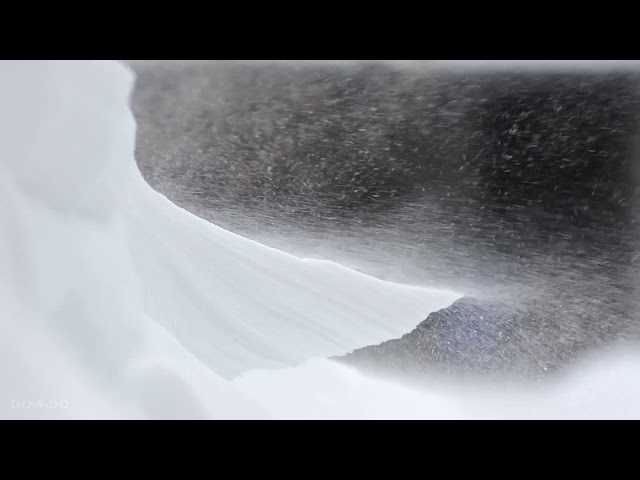Howling Blizzard Sounds | Winter Ambience | Heavy Wind & Snowfall | Snowstorm Sounds For Sleeping