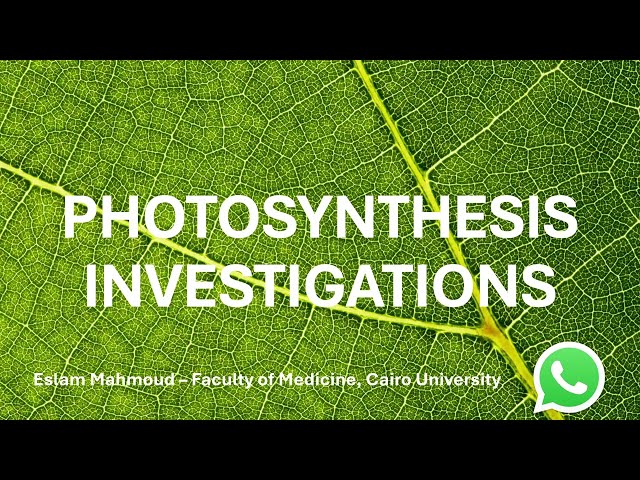 Effect of Varying Light, CO2 and Temperature | IGCSE Combined Science Biology | Eslam Mahmoud