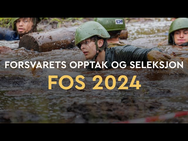 Forsvarets opptak og seleksjon 2024