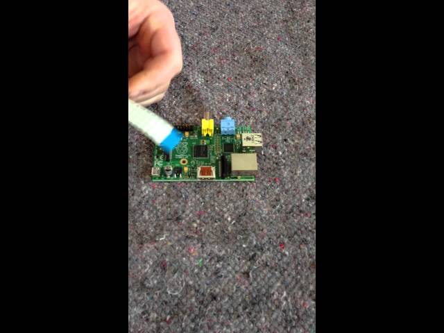 Raspberry Pi Camera Module