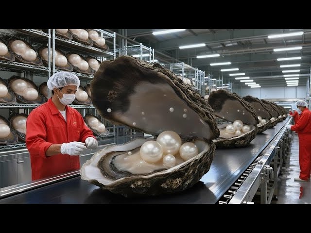FULL PROCESS | Inside the Pearl Factory - From Raw Oyster to Luxury Fashion