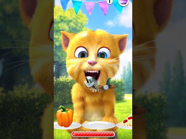 Talking Ginger 2 game play @Queengaming-r4r