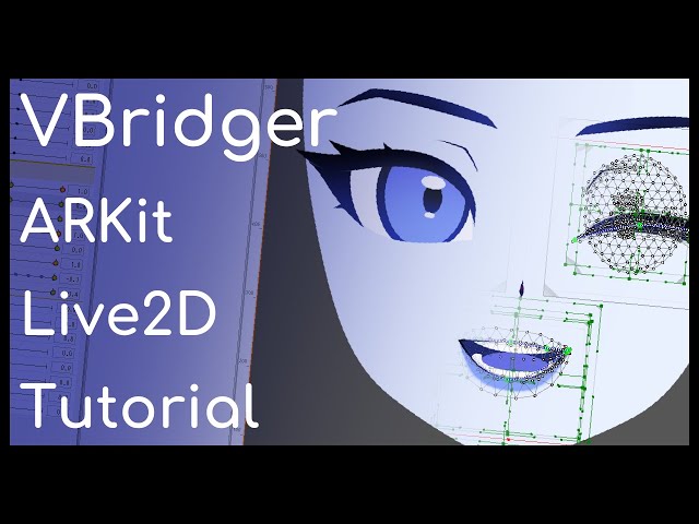 VBridger ARKit Live2D Rigging Tutorial