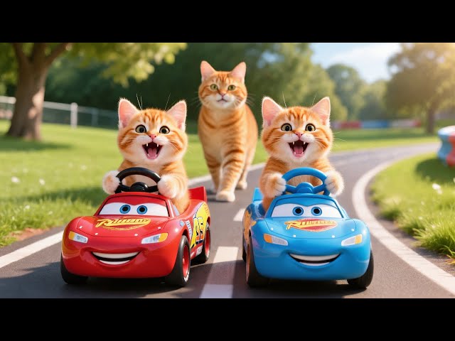 Live 🔴Mama Cat And Kitten ✨Funny Cat | Kucing 🌻 Cat Videos 😿 Cute Cat | Meow Meow