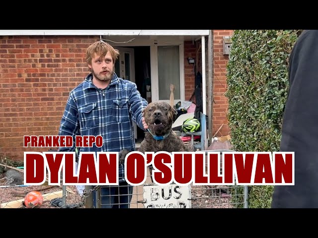 Repositorio bromeado - Dylan O'Sullivan
