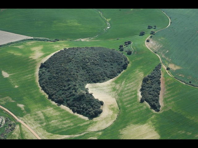 Proyecto para la mejora de la Conectividad Ecológica de la Campiña de Córdoba