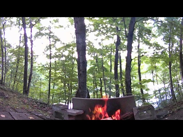 Fourth 360 TEST SHOT for new season of Immersive Nature Sounds