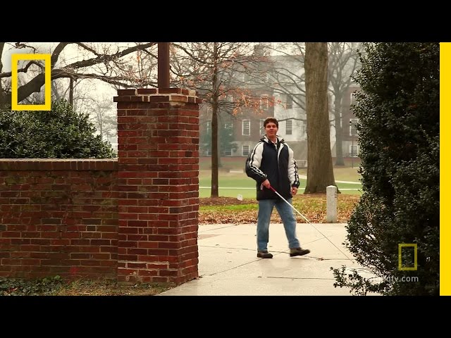 Echolocation | Brain Games