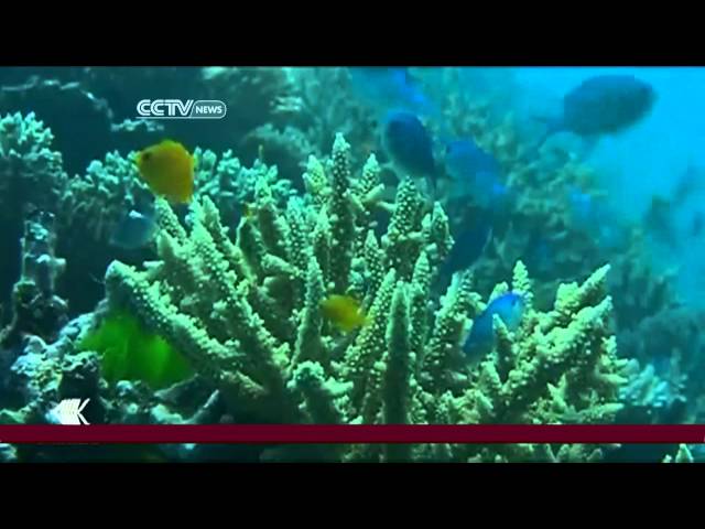 Conservation efforts across the globe