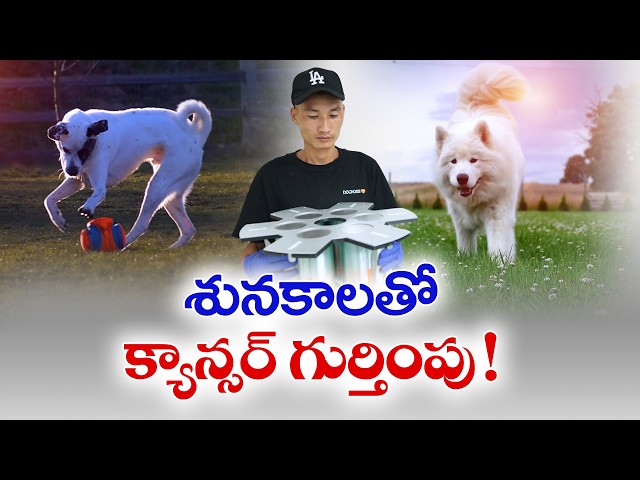 Dogs Can Detect Cancer Early? Bengaluru Startup’s AI-Powered Breakthrough