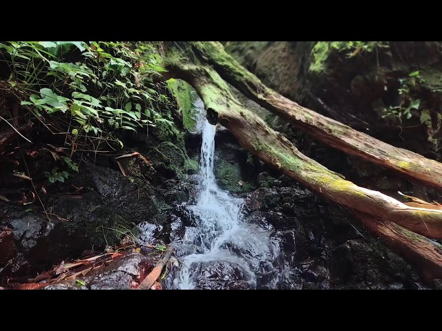 Relaxing Piano Music – Healing Vibes with River Sounds for Meditation & Sleep