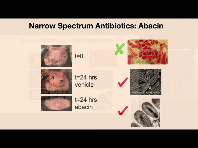 Regina Barzilay | Can ML methods design drugs?