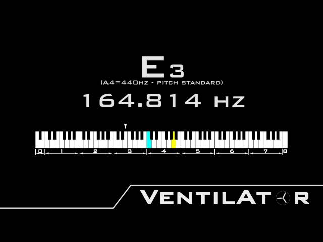 E3 / 164.814hz @A440hz Tone For Instrument Tuning