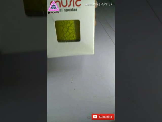 Bluetooth Speaker Unboxing & Review - Desi Tech