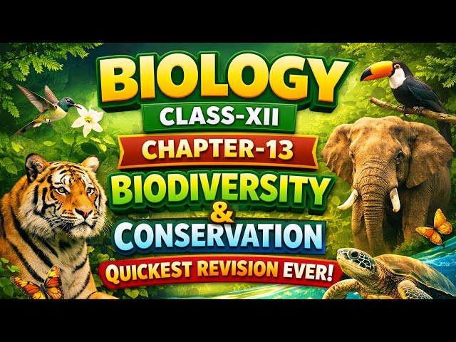 Biology Class 12 Chapter 13 | Biodiversity & Conservation | Quickest Revision Ever 🔥