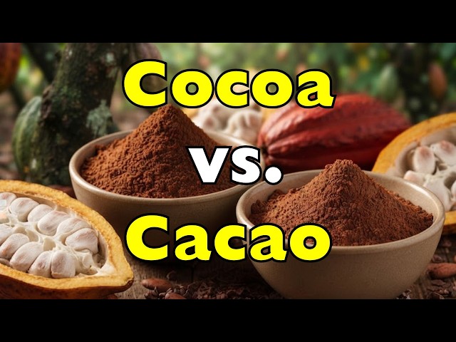 What’s the Real Difference Between Cocoa and Cacao