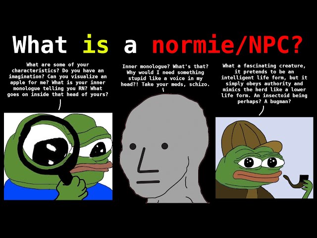 What IS a normie/NPC?