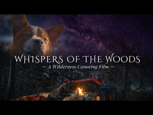 Our First Canoe Trip Without Him | Whispers of the Woods