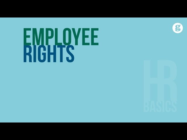 HR Basics: Employee Rights