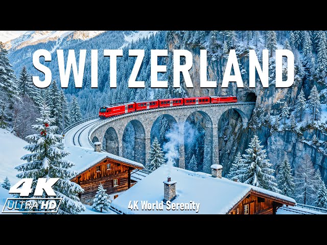 Experience Winter in Switzerland ❄️ The most beautiful frozen foliage scene ever seen.