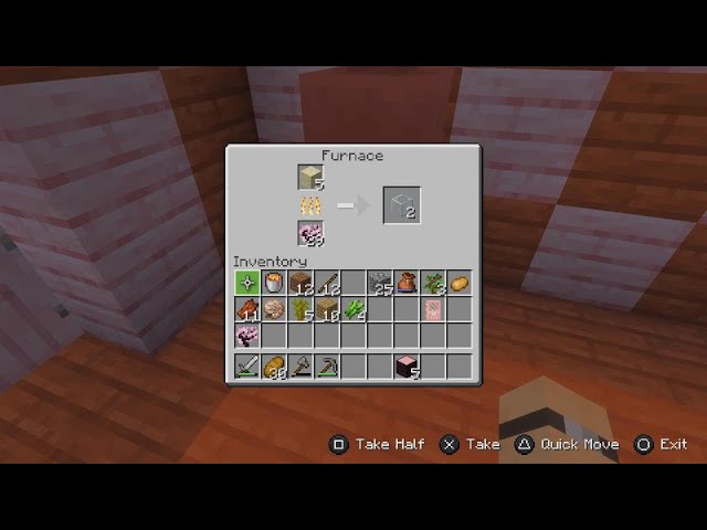 Minecraft hardcore  map